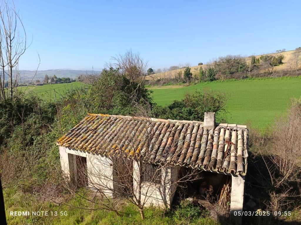 Rustico / casale a Osimo in Via Gattuccio - Foto 2