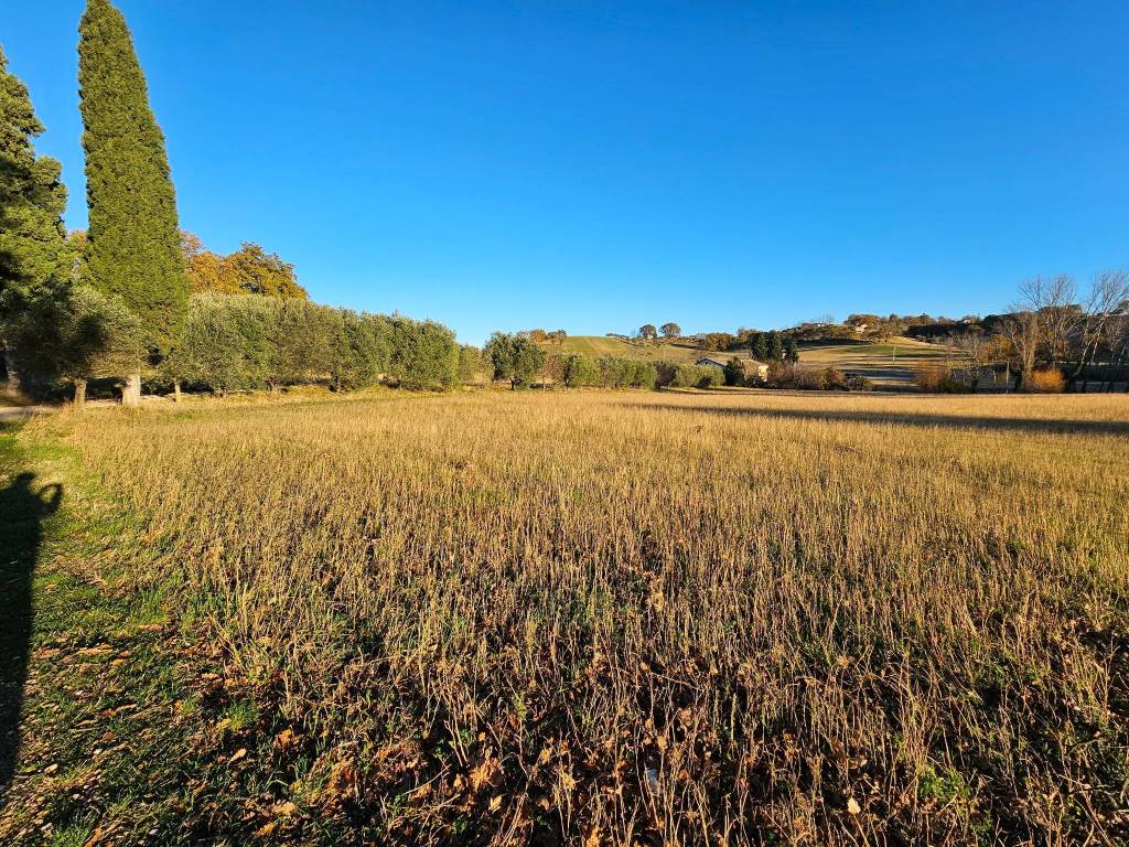 Terreno a San severino marche in Località Pieve - Foto 2