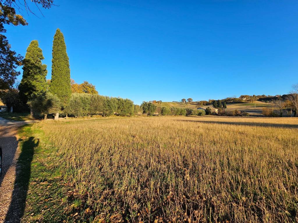 Terreno a San severino marche in Località Pieve - Foto 3