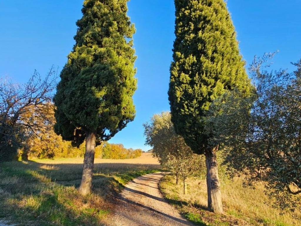 Terreno a San severino marche in Località Pieve - Foto 5