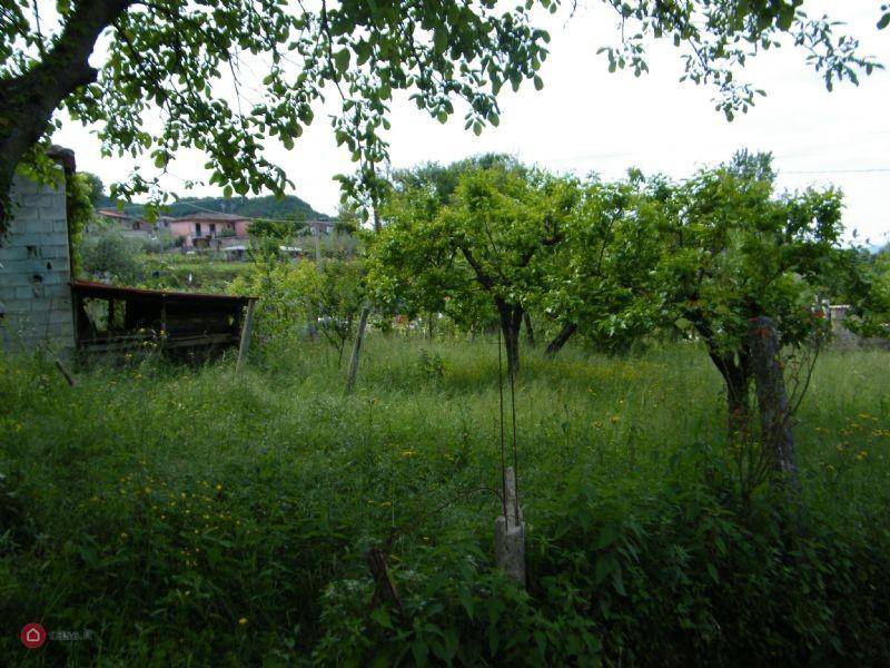Rustico / casale a Alatri in VIA CASALE ALTO - Foto 4
