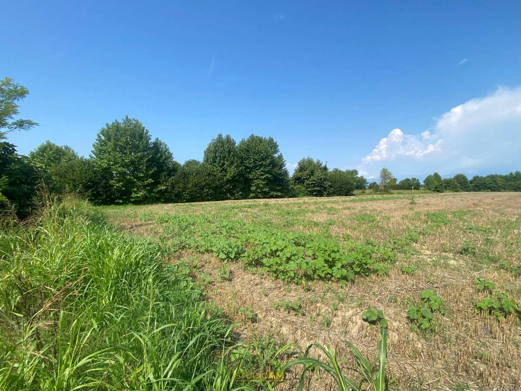 Terreno a Fiume veneto - Foto 3