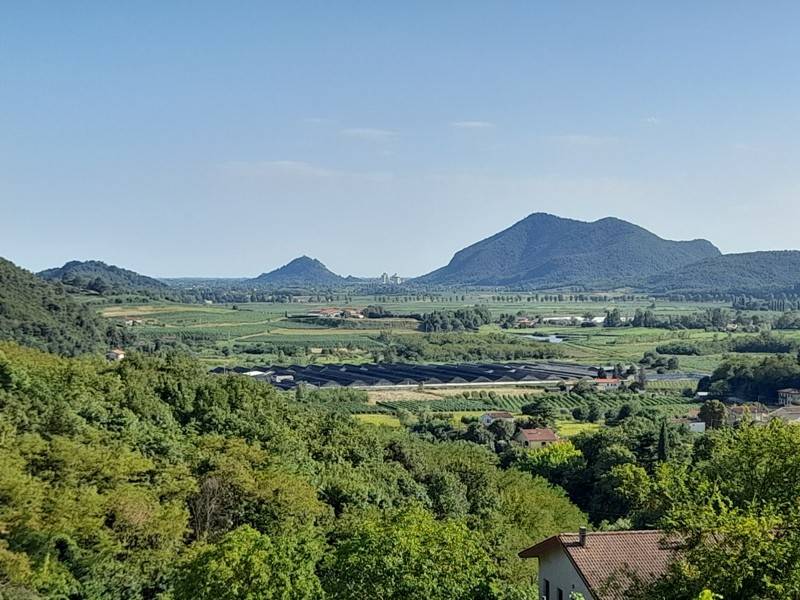 Rustico / casale a Montegrotto terme in Via Pietro Gobetti - Foto 3