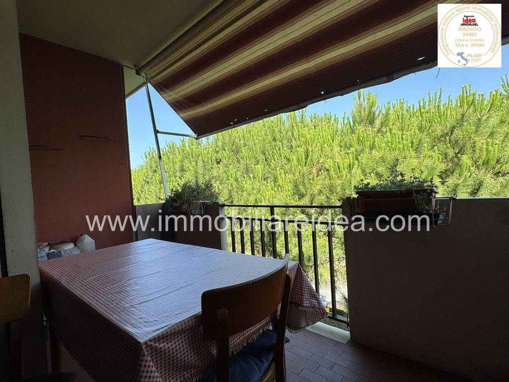 Appartamento a Rosignano marittimo in Via Musselburgh, 11 - Foto 2