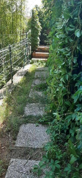 Appartamento a Rosignano marittimo in Via del Cotone, 49 - Foto 2