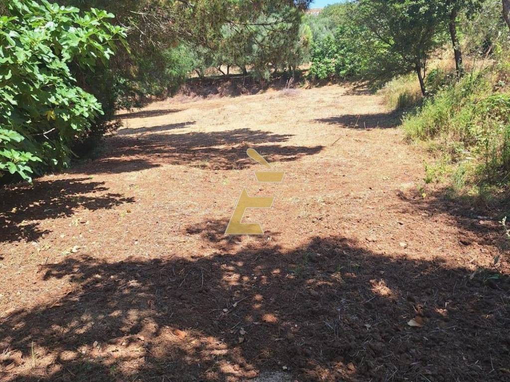 Villa a Zaccanopoli in Località Conacia - Foto 5