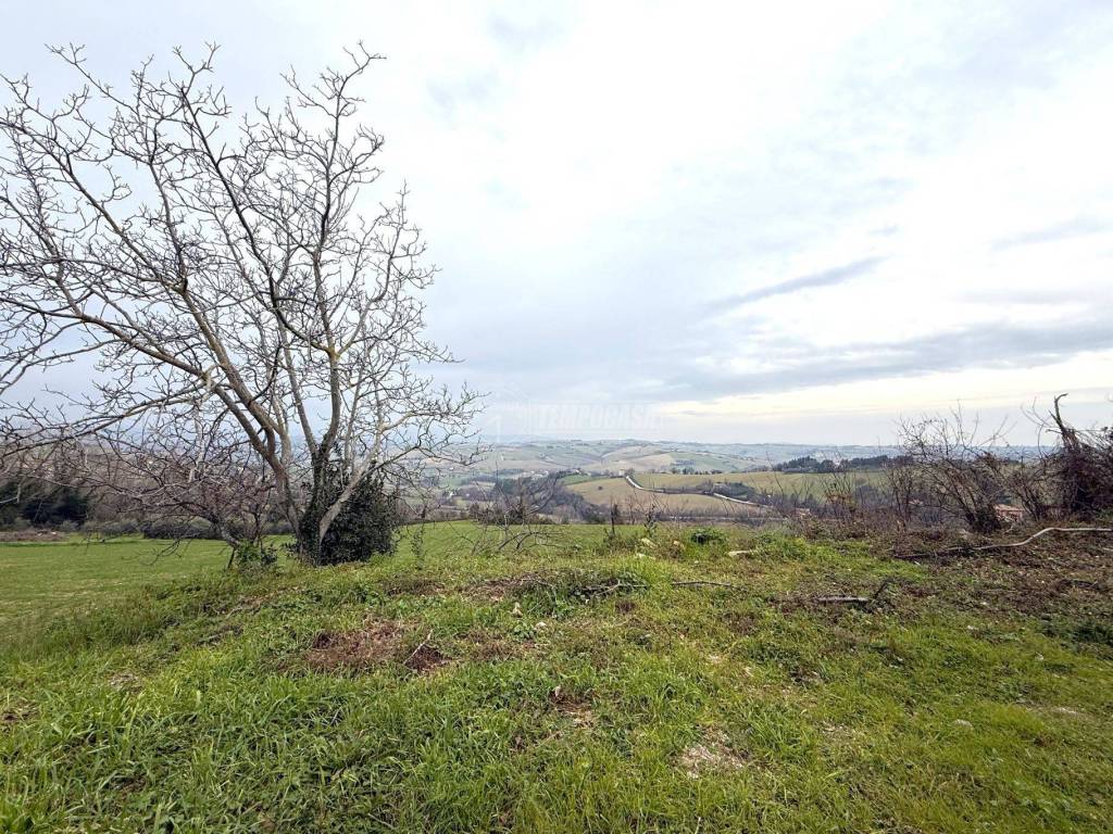 Rustico / casale a Ostra vetere in Borgo Cavour - Foto 3