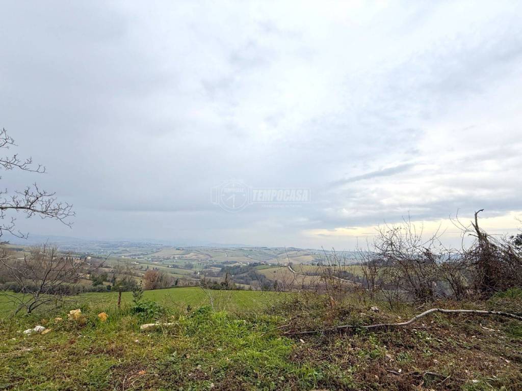 Rustico / casale a Ostra vetere in Borgo Cavour - Foto 5