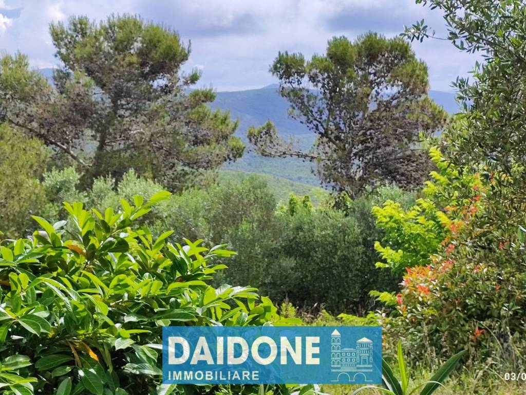 Terreno a Livorno in Strada Vicinale del Semaforo - Foto 3