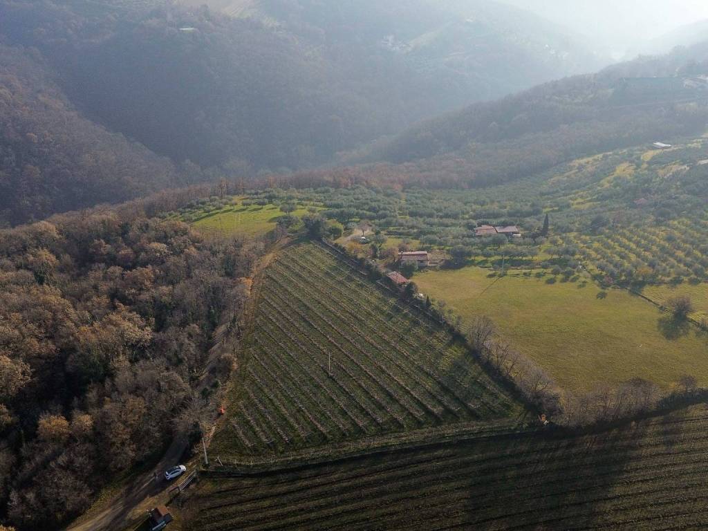 Terreno a Negrar di valpolicella in Via Maso - Foto 3