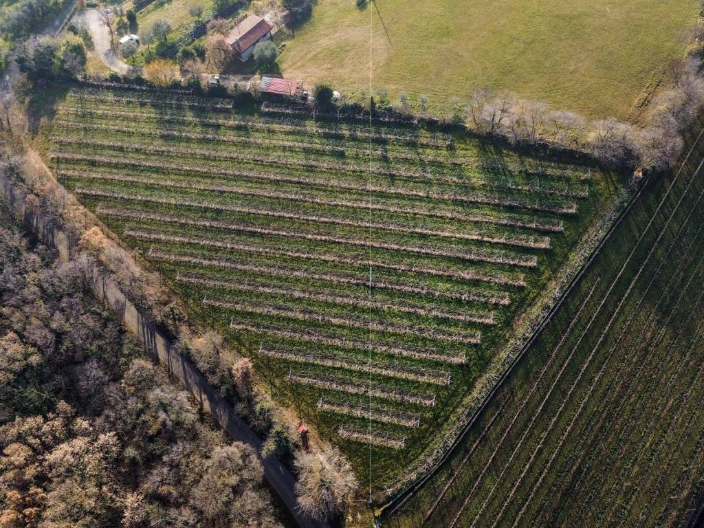 Terreno a Negrar di valpolicella in Via Maso - Foto 4