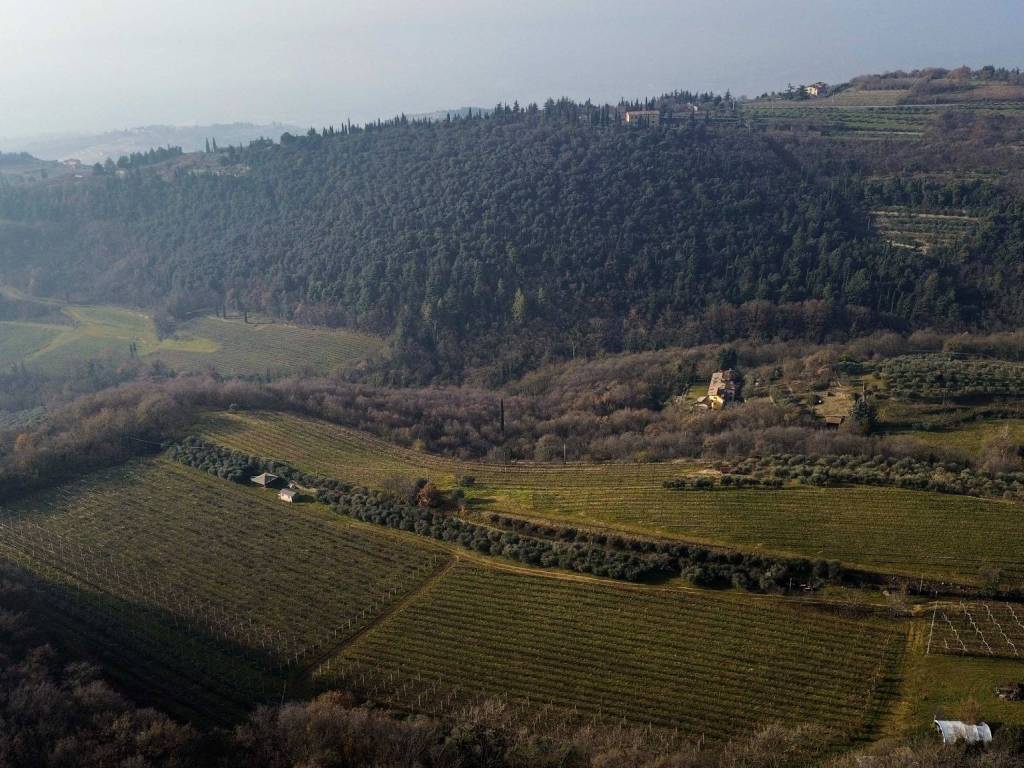 Terreno a Verona in Strada per Montecchio - Foto 3