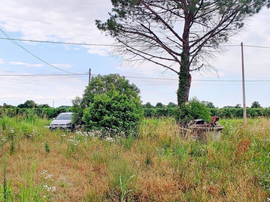 Rustico / casale a Azzano decimo in Via Castello Mantova, 4 - Foto 2