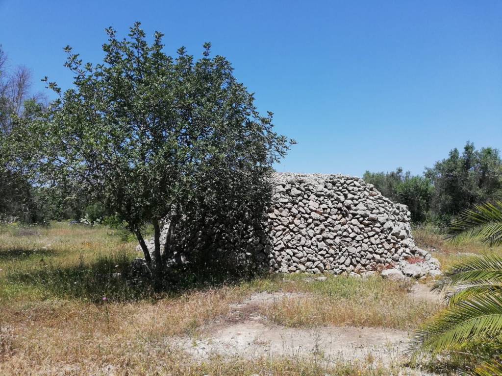 Terreno a Manduria - Foto 2