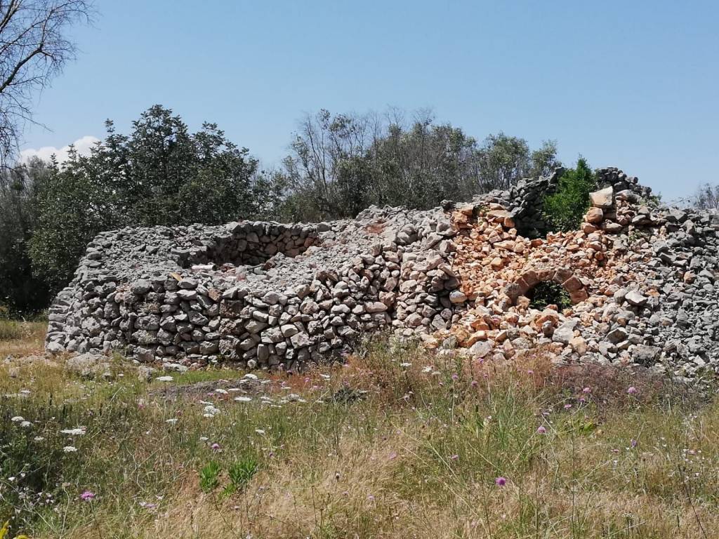 Terreno a Manduria - Foto 3