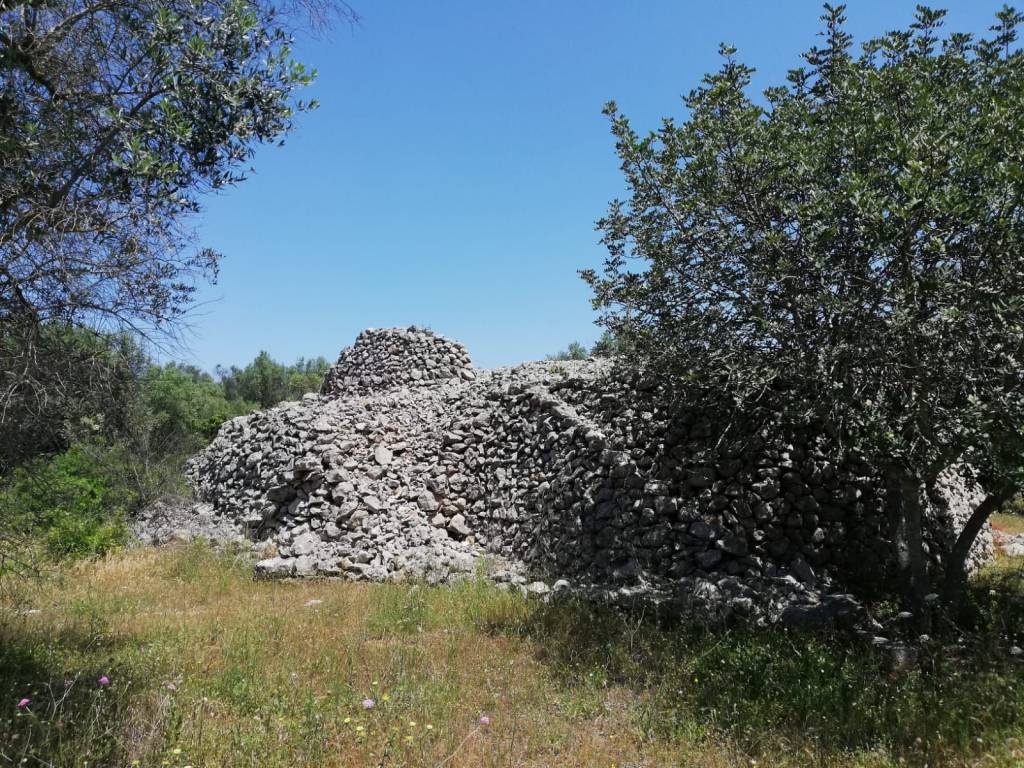 Terreno a Manduria - Foto 4