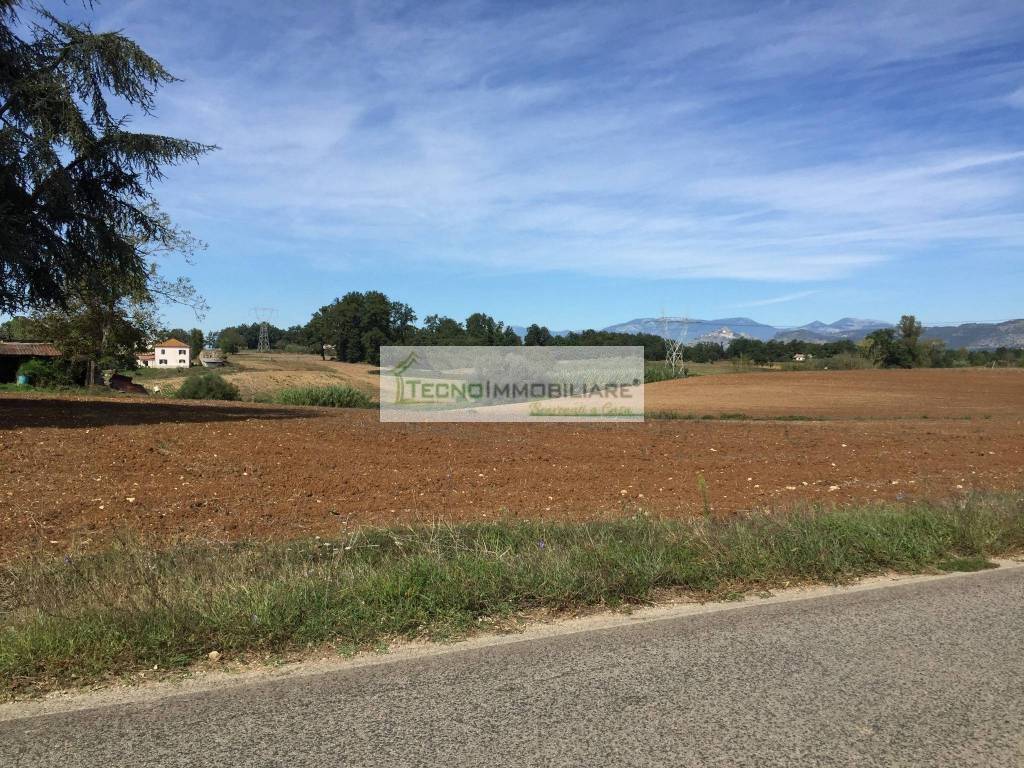 Terreno a Pontecorvo in Contrada Melfi di Sotto - Foto 2