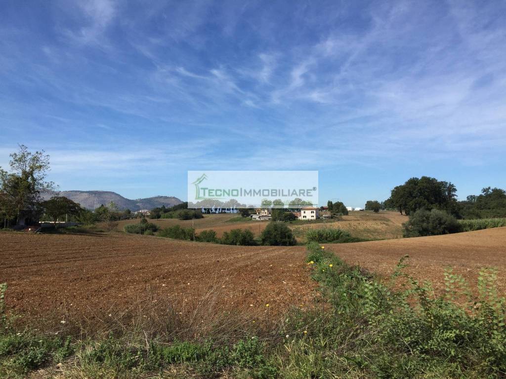Terreno a Pontecorvo in Contrada Melfi di Sotto - Foto 4
