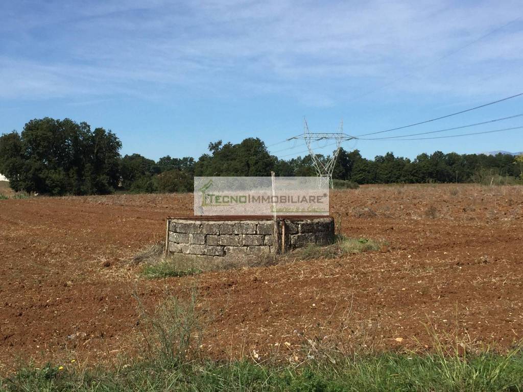 Terreno a Pontecorvo in Contrada Melfi di Sotto - Foto 5