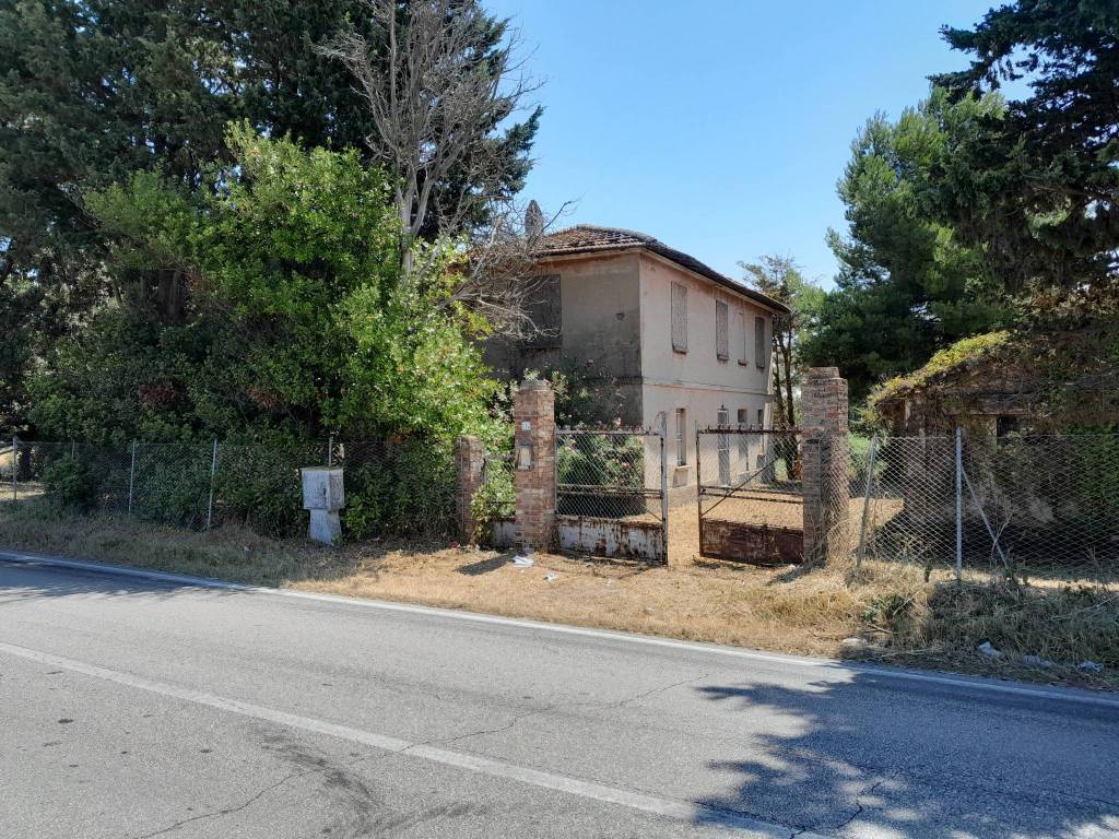 Rustico / casale a Mondolfo - Foto 4