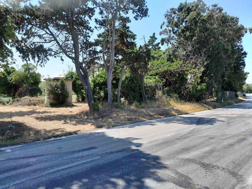 Rustico / casale a Mondolfo - Foto 5