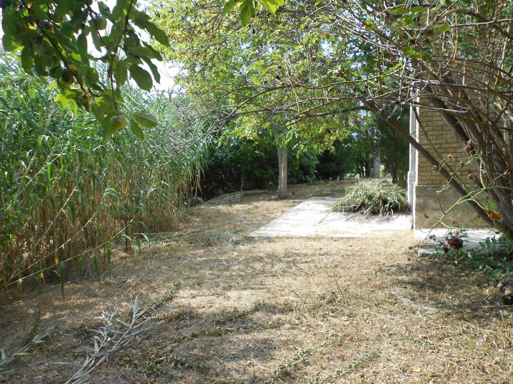 Rustico / casale a Montegranaro in Contrada Santa Leandra - Foto 5
