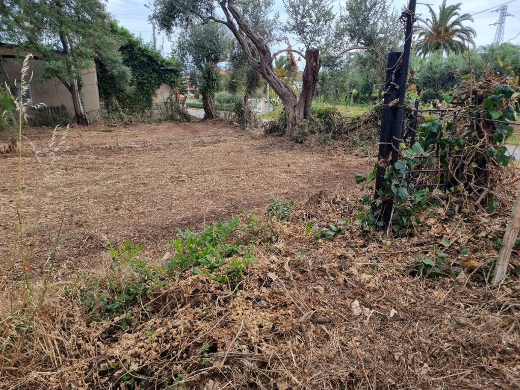Rustico / casale a Briatico in Via Seconda Traversa - Foto 5