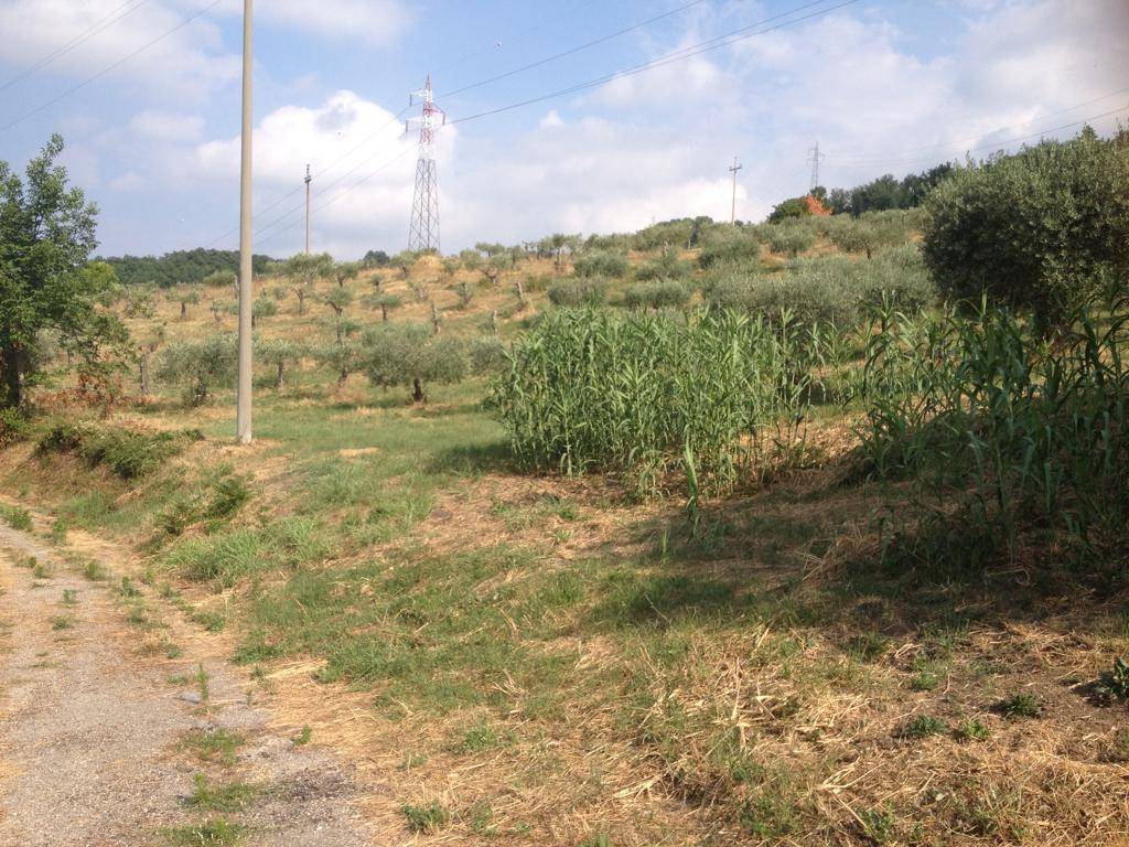 Rustico / casale a Ascoli piceno in Strada Provinciale di Colle San Marco, 287 - Foto 3