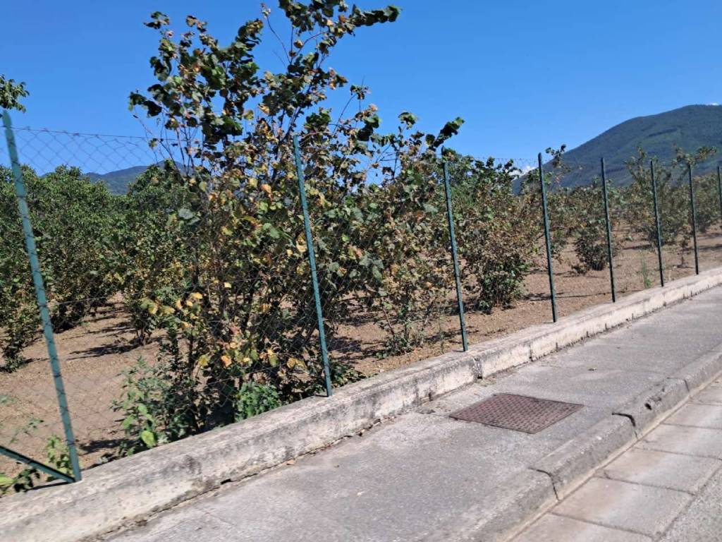 Terreno a Baiano in via malta snc - Foto 4