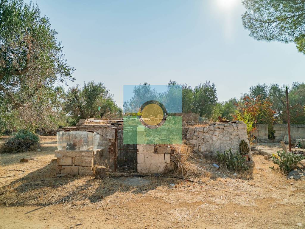 Rustico / casale a San michele salentino in Contrada Cotugni - Foto 3