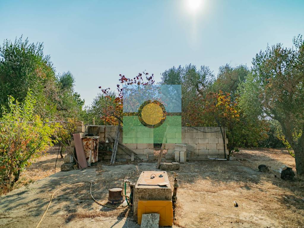 Rustico / casale a San michele salentino in Contrada Cotugni - Foto 5