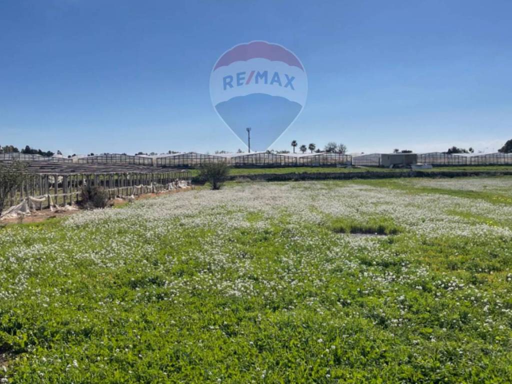 Rustico / casale a Scicli in CONTRADA PIANO GRANDE - Foto 4