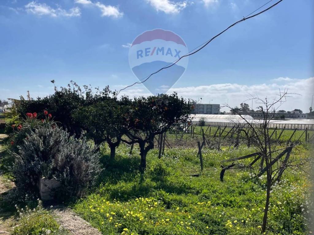 Rustico / casale a Scicli in CONTRADA PIANO GRANDE - Foto 5