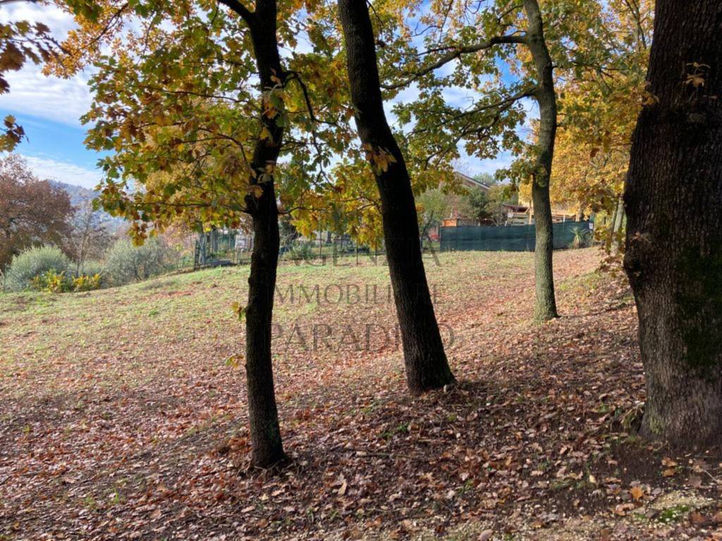 Terreno a Urbino in Via Cal Mazzante - Foto 2