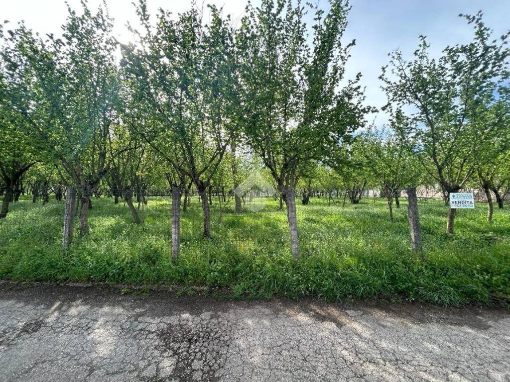 Terreno a Santo stefano del sole in Via Capolungo - Foto 4