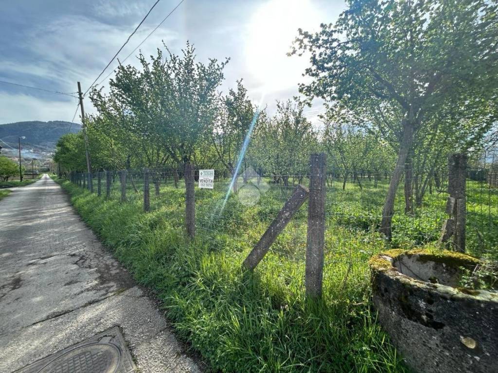 Terreno a Santo stefano del sole in Via Capolungo - Foto 5