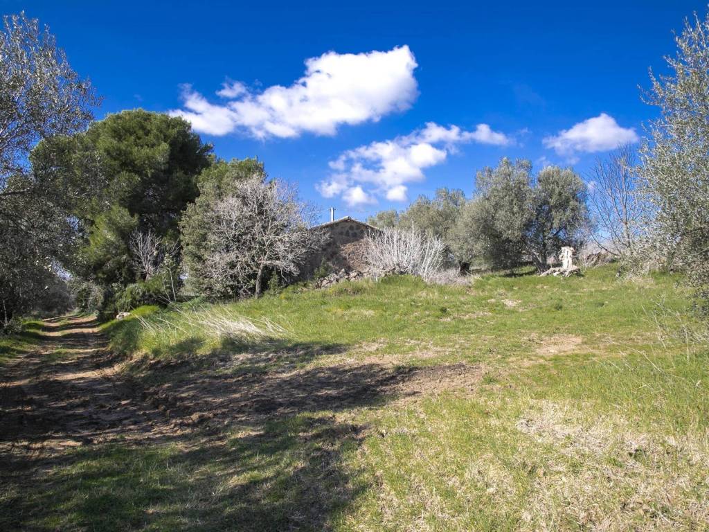 Rustico / casale a Tarquinia in Strada Provinciale Tarquiniense - Foto 3