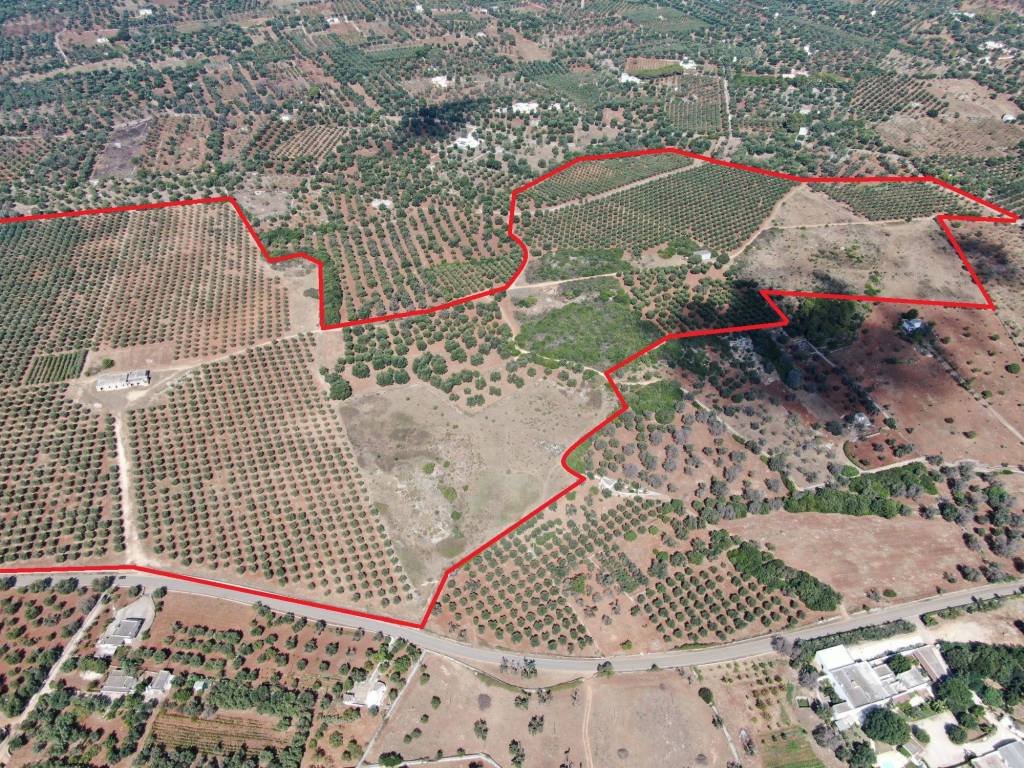 Terreno a Carovigno in SP29 - Foto 2