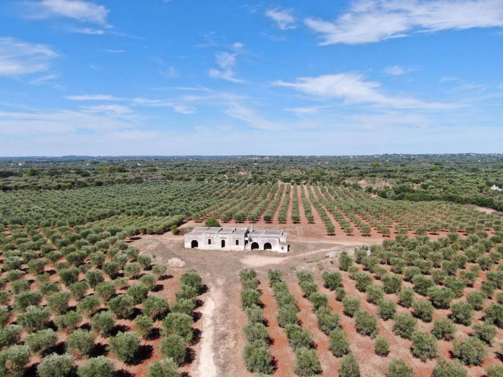 Terreno a Carovigno in SP29 - Foto 5