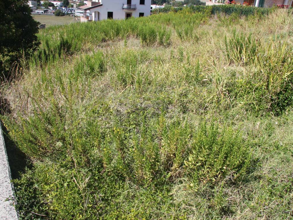 Terreno a Spoleto in Via dei Carrozzieri - Foto 3