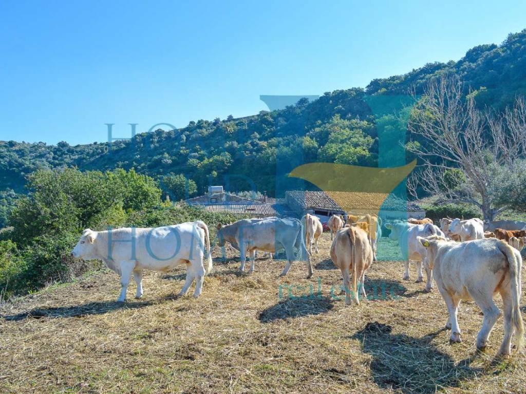 Rustico / casale a Noto - Foto 4