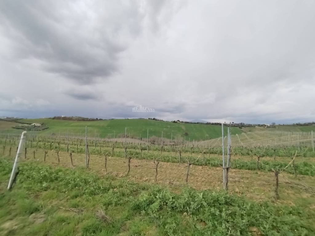 Terreno a Monteprandone in VIA COLLE NAVICCHIO - Foto 2