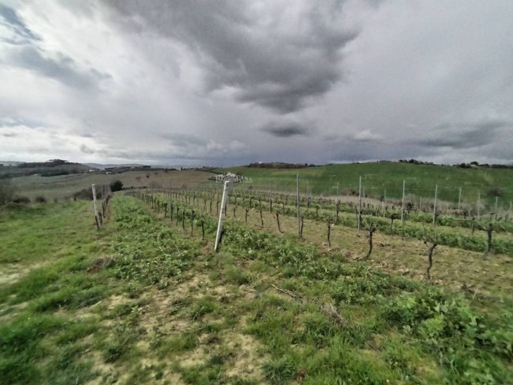 Terreno a Monteprandone in VIA COLLE NAVICCHIO - Foto 3