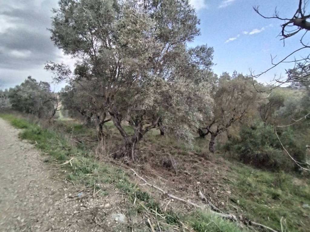 Terreno a Monteprandone in VIA COLLE NAVICCHIO - Foto 4