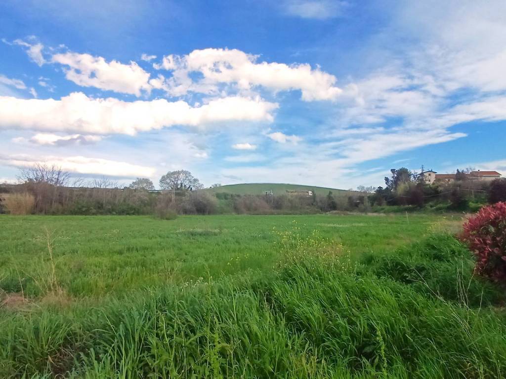 Terreno a Notaresco in sp22a - Foto 2