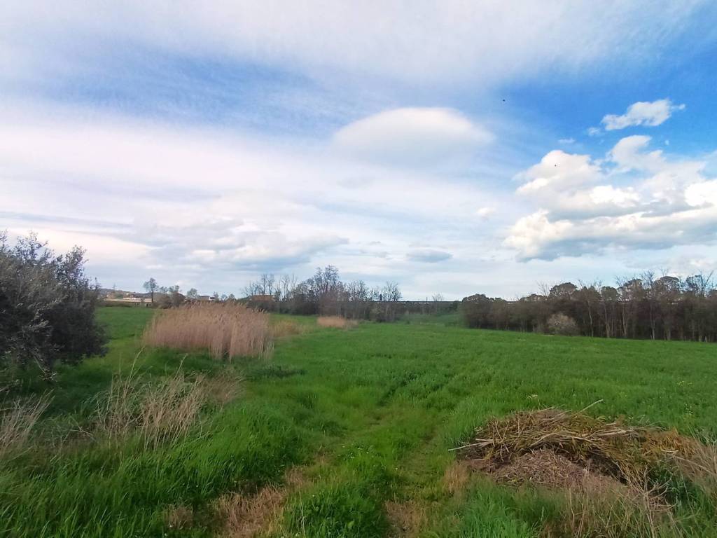 Terreno a Notaresco in sp22a - Foto 3