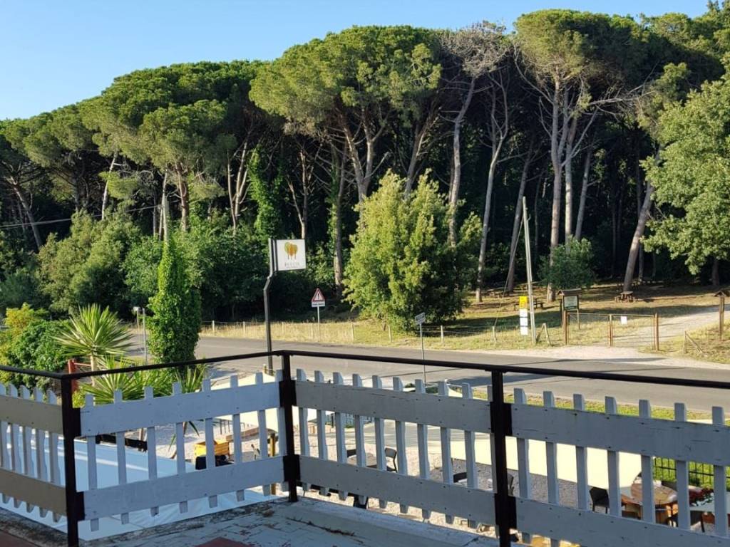 Appartamento a Sabaudia in Via Litoranea - Foto 2