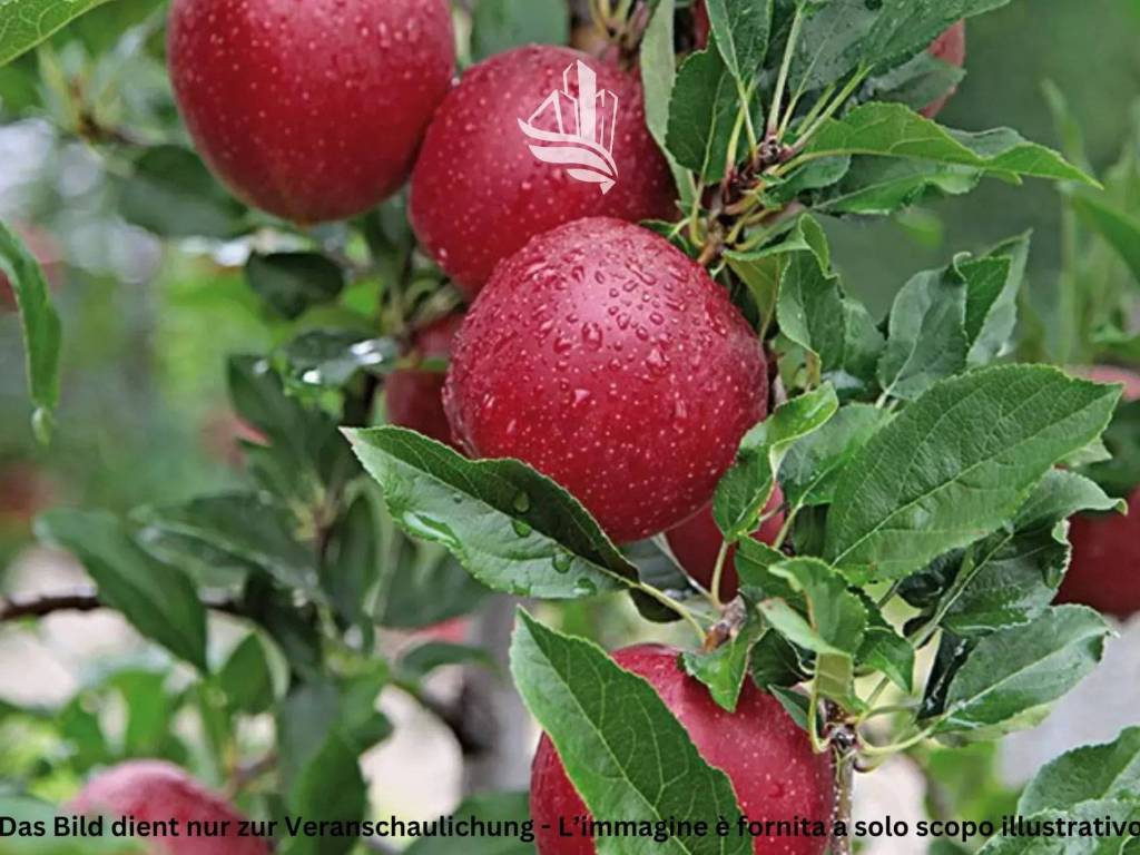 Terreno a Laives in Via S. Giacomo - Foto 2