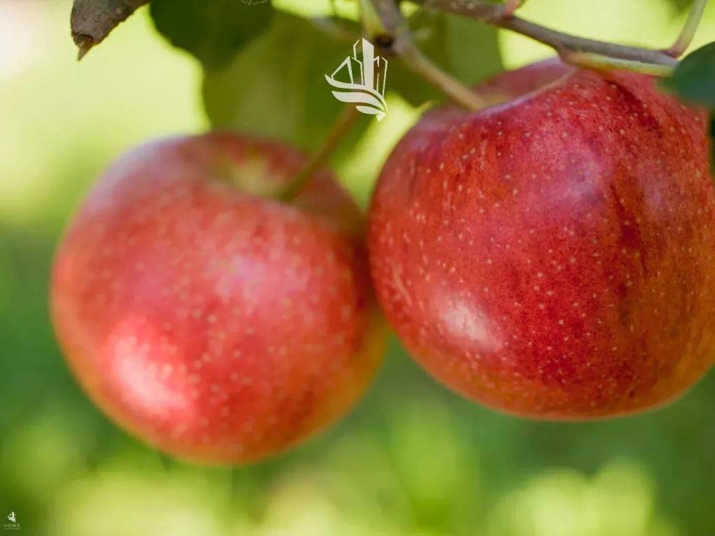 Terreno a Laives in Via S. Giacomo - Foto 3