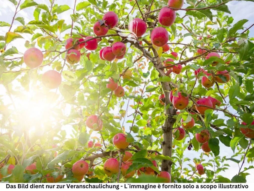 Terreno a Laives in Via S. Giacomo - Foto 5